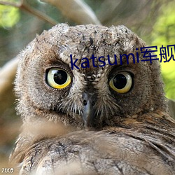 katsumi军(軍)舰女兵2006