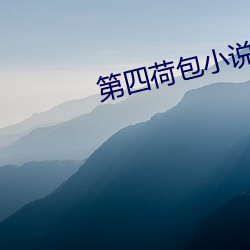 第四荷包小(xiǎo)说(shuō)网