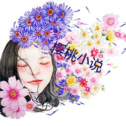 樱桃小说