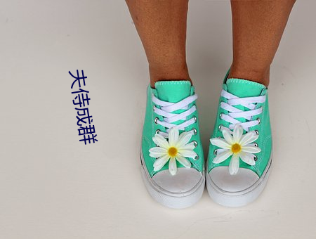 夫(夫)侍成群