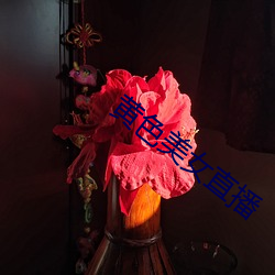 黄色美女直播
