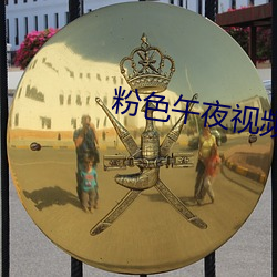 粉色午夜视频