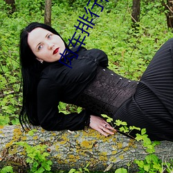 肉車排行榜前十名