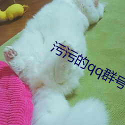 污污的qq群号码