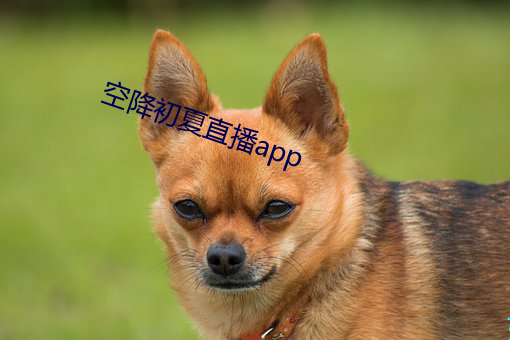 空降初夏直播app