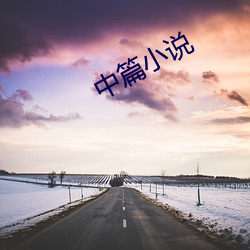 中篇小说