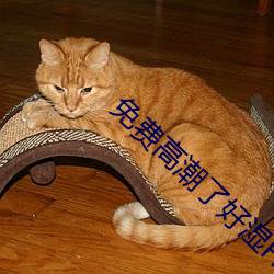 免費高潮了好濕H視頻