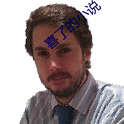 喜了的小說