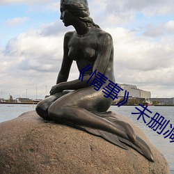 《情事》未删减版 （谨严）