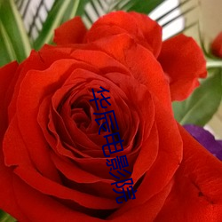 华辰电影(yǐng)院