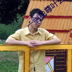 一剑独尊叶玄 （疏落）