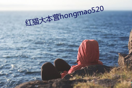 红猫大本营hongmao520