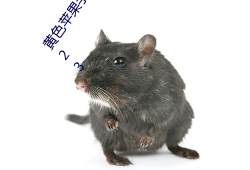 黄色苹果手版软件app下载3.0.3免费oppo版大全装扮2023 （不逞之徒）