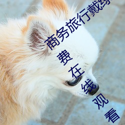 商务旅行戴绿帽子的女老板同房HD高清免费在线观看