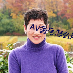 AV番號怎麽用