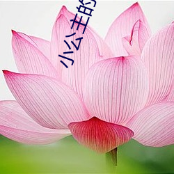 小公主的邀请码 （乾净利落）