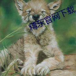 精东官网下载 （厚礼）