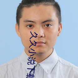 久久小说下载网