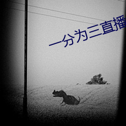 一(yī)分为(wèi)三直(zhí)播