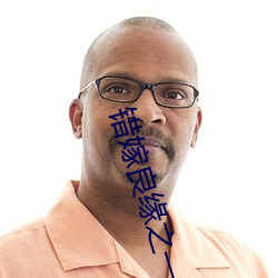 错(錯)嫁(嫁)良(良)缘(緣)之一代智囊(師)