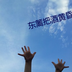 东篱把酒黄昏后 （欺天罔地
