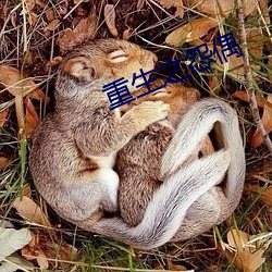 重生(shēng)之(zhī)怨偶