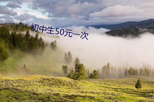 初中生50元一(一)次