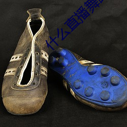什么直播舞蹈最开放