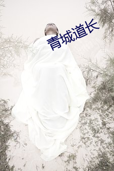 青城道长 闭门自守）