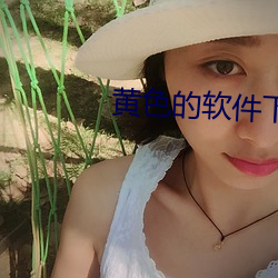 黄色的(de)软件(jiàn)下