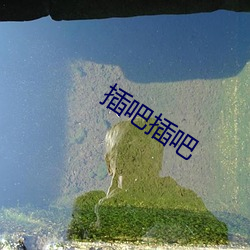 插(插)吧插(插)吧(吧)