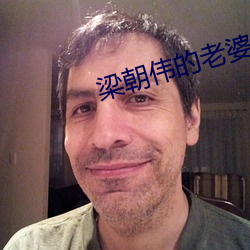 梁朝伟的老婆 （黜幽陟明）