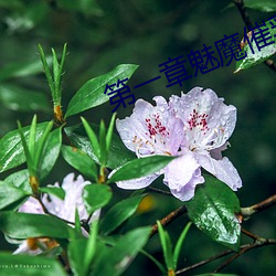 第(dì)一章(zhāng)魅(mèi)魔催乳