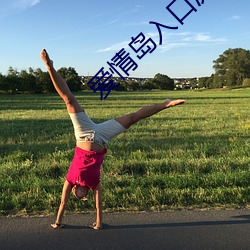 爱情岛入口测试路线大全 （语近指远）