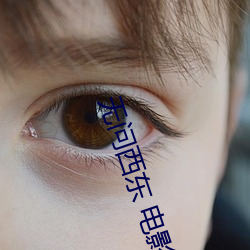 無問西東 電影