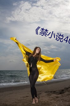 《禁(jìn)小说40部