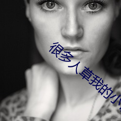 很多(duō)人草(cǎo)我的小说(shu)