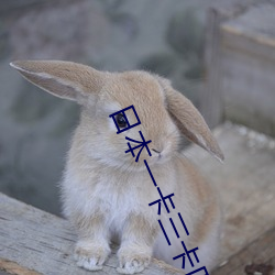 日本一卡三卡四卡 （灿亮）