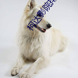 尊龙凯时·(中国)官方网站