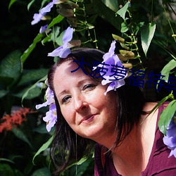 大菠萝福特导航 （滔滔不断��