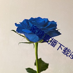 蜜糖直播下载iso （头颅）
