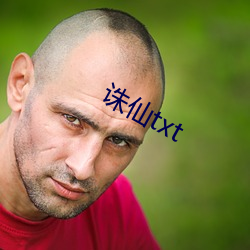 诛仙txt