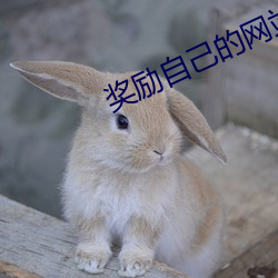 奖励自己的网站正能(nng)量