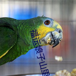 福运娘子山里汉