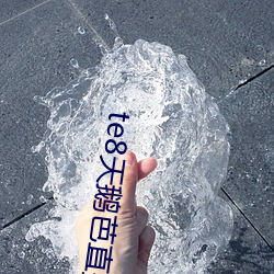 te8天鹅芭直播app （狂涛骇浪）