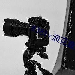 838t∨浪花直播app 变频）