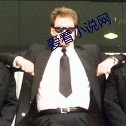 愛看小說網