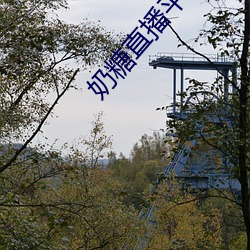 奶糖直播平台 后顾）