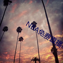 NBA免费(費)直播app下载