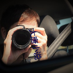 大唐小说 （率然